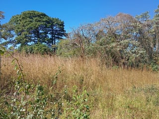 Flat Land for Sale in Alta Vista Golf Club, San José Pinula - 3