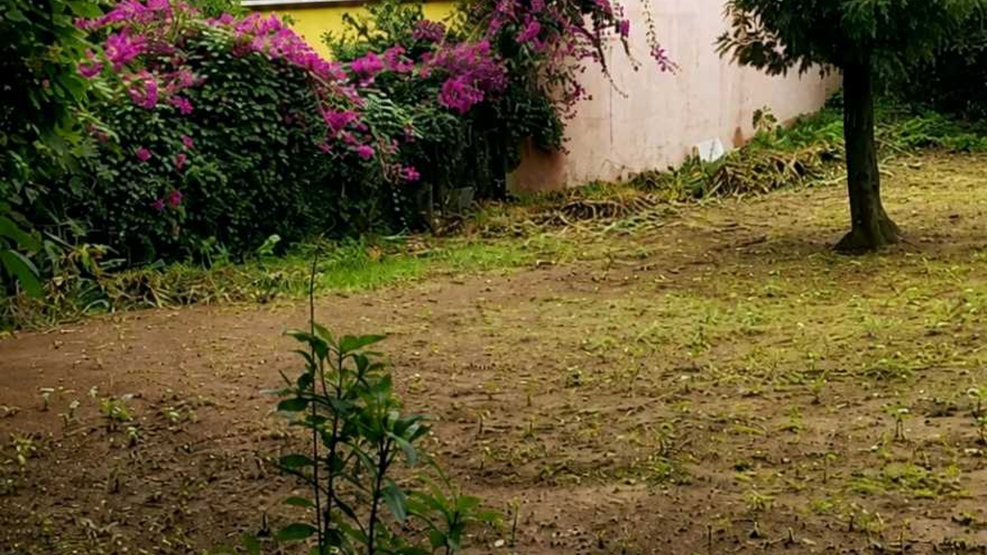 TERRENO EN VENTA ???? Santa Lucía Milpas Altas, Sacatepéquez - Miniatura 4
