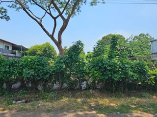 📍 TERRENO EN VENTA – 1,500 M² | QUINTAS VALLARTA | ESCUINTLA - 5