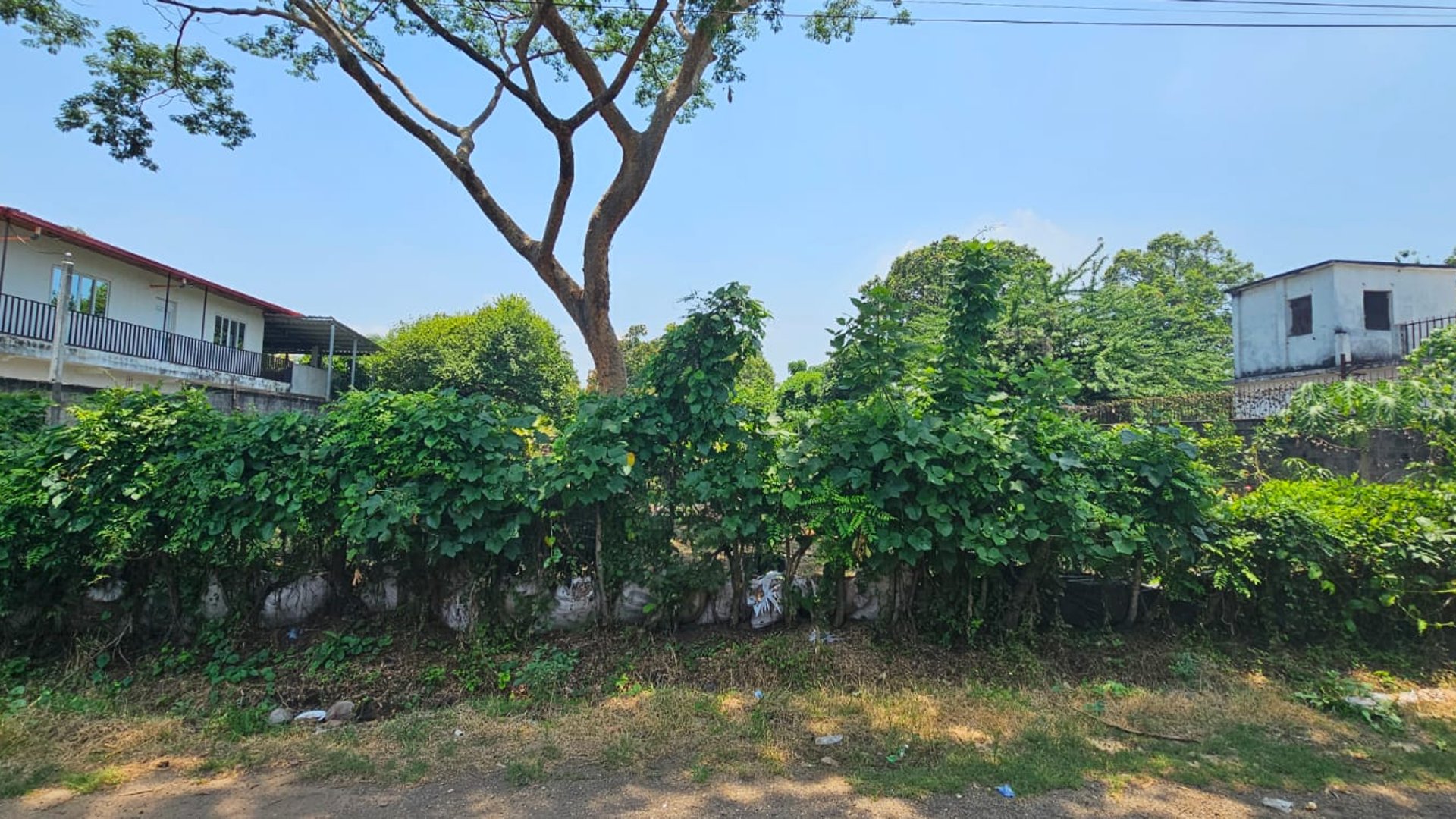 ???? TERRENO EN VENTA – 1,500 M² | QUINTAS VALLARTA | ESCUINTLA - Miniatura 5
