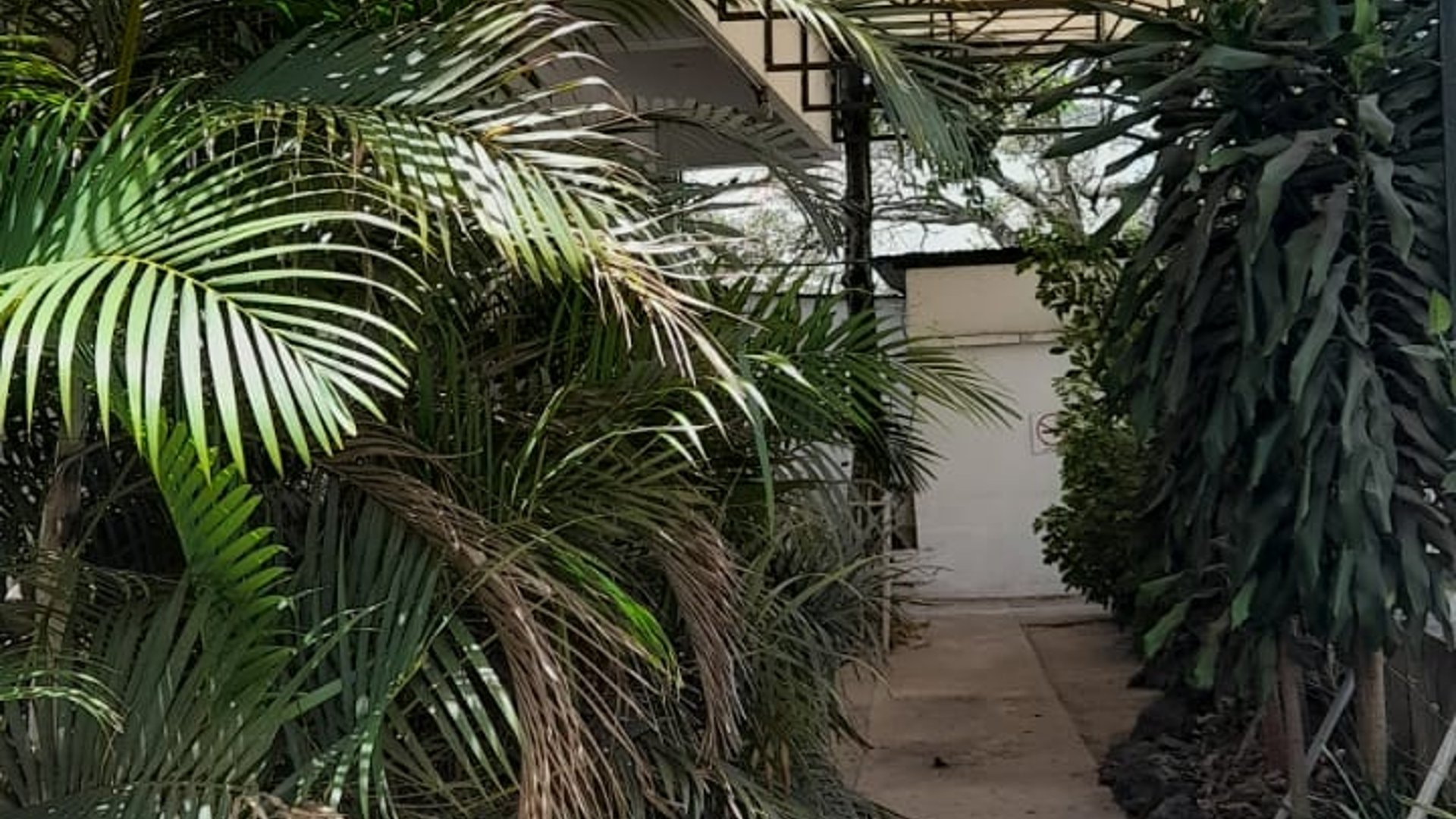 Edificio de oficinas en venta y renta, Zona 9 - Miniatura 26