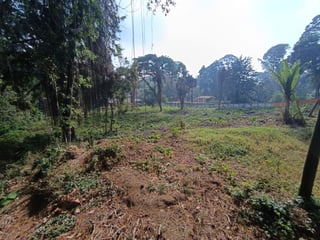 📍 TERRENO EN VENTA – RESIDENCIAL EL ENCINAL TRONCO 2 | Z.7 DE MIXCO - 3