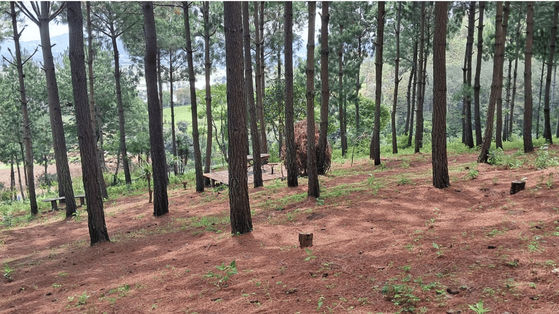 Parque ecológico en Venta en San Andres Itzapa Chimaltenango - Miniatura 19