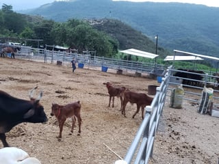 Finca en venta en Sanarate, El Progreso - Image 3