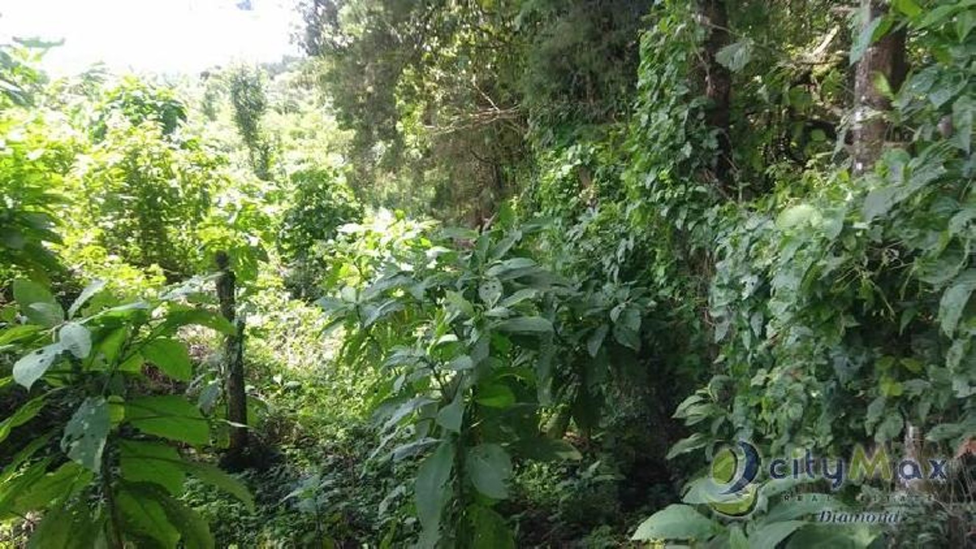 Terreno en Carretera al Salvador km 26 Sta. Elena