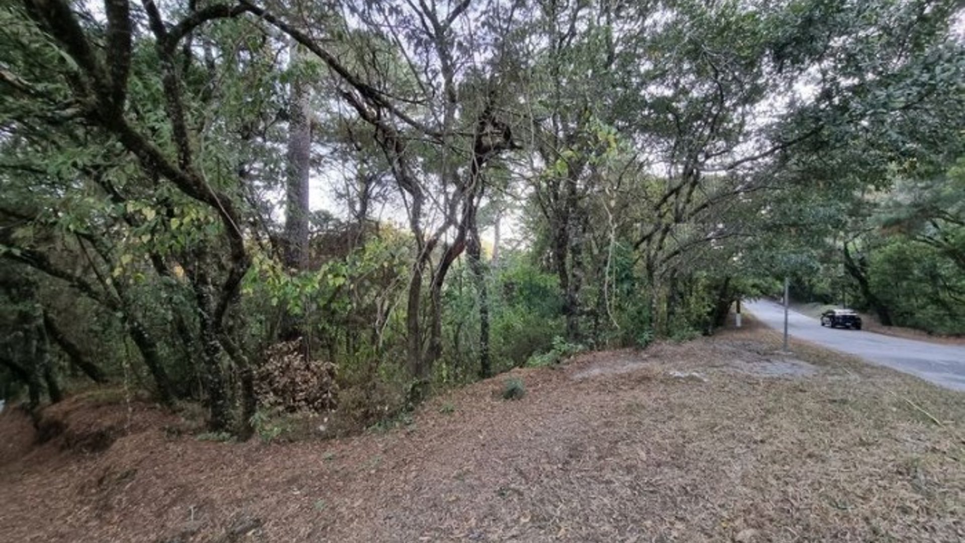 Terreno en Venta en El Encinal, Zona 7 de Mixco - Miniatura 12