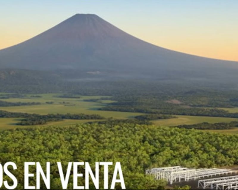 Terreno Industrial en venta de 4 Manzanas en Escuintla