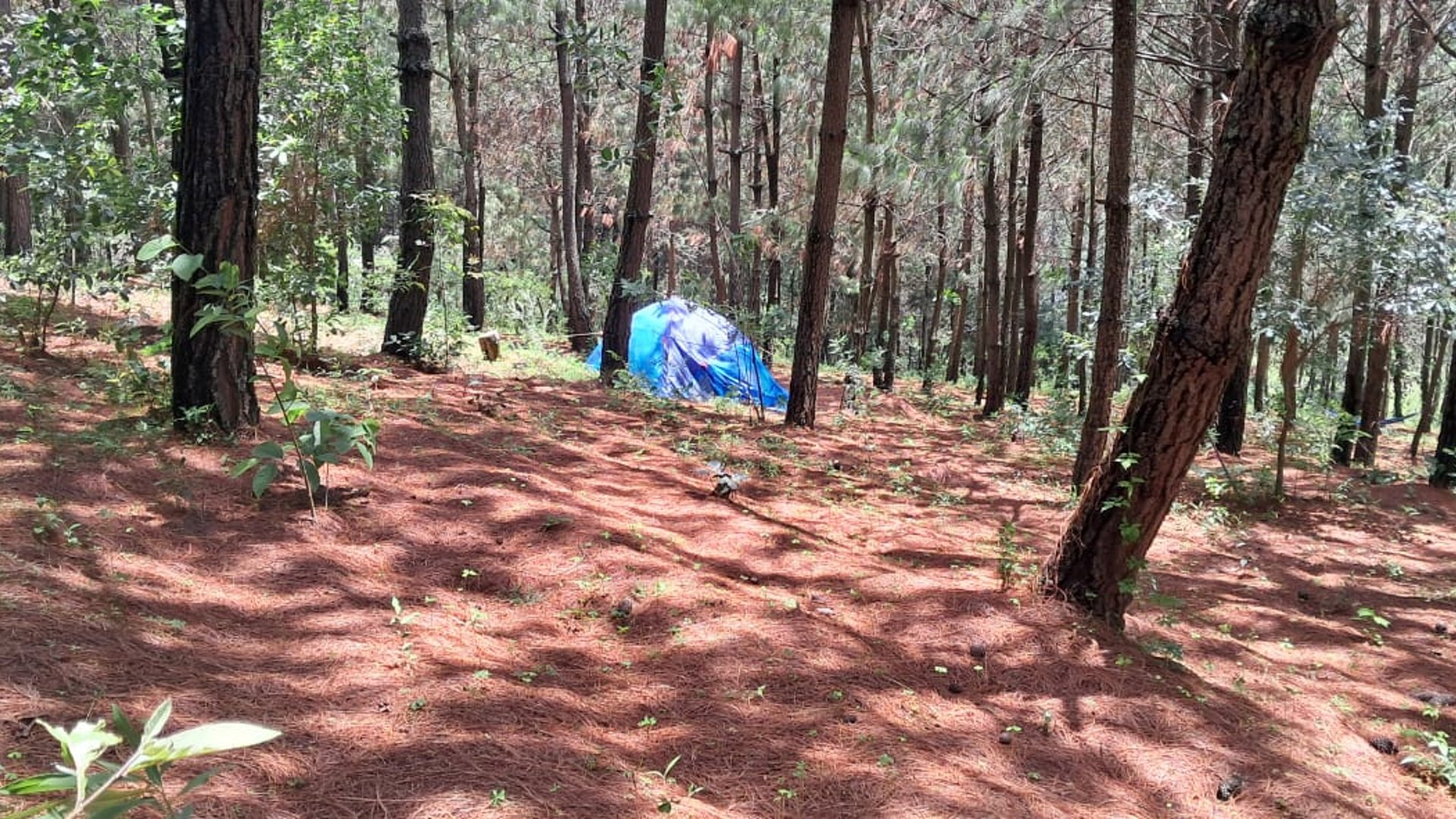 Parque ecológico en Venta en San Andres Itzapa Chimaltenango - Miniatura 13