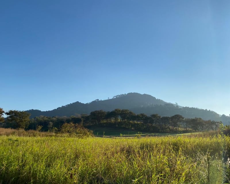 Terreno en venta en el pulte Golf