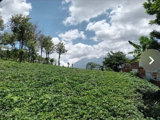 Terreno en venta Ciudad Vieja - 5