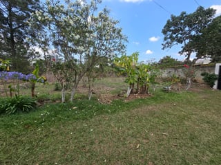 Lindo y Amplio Terreno En Venta - San Pedro Ayampuc - 2