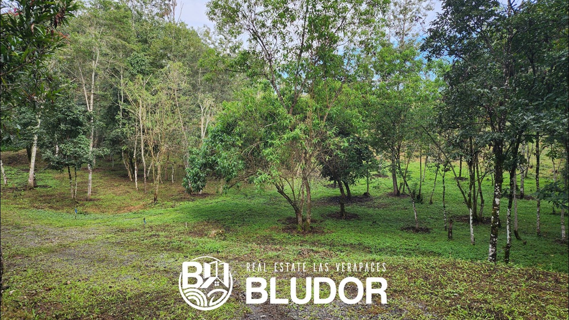 Terreno Campestre y Exclusivo en Chamelco - Miniatura 7