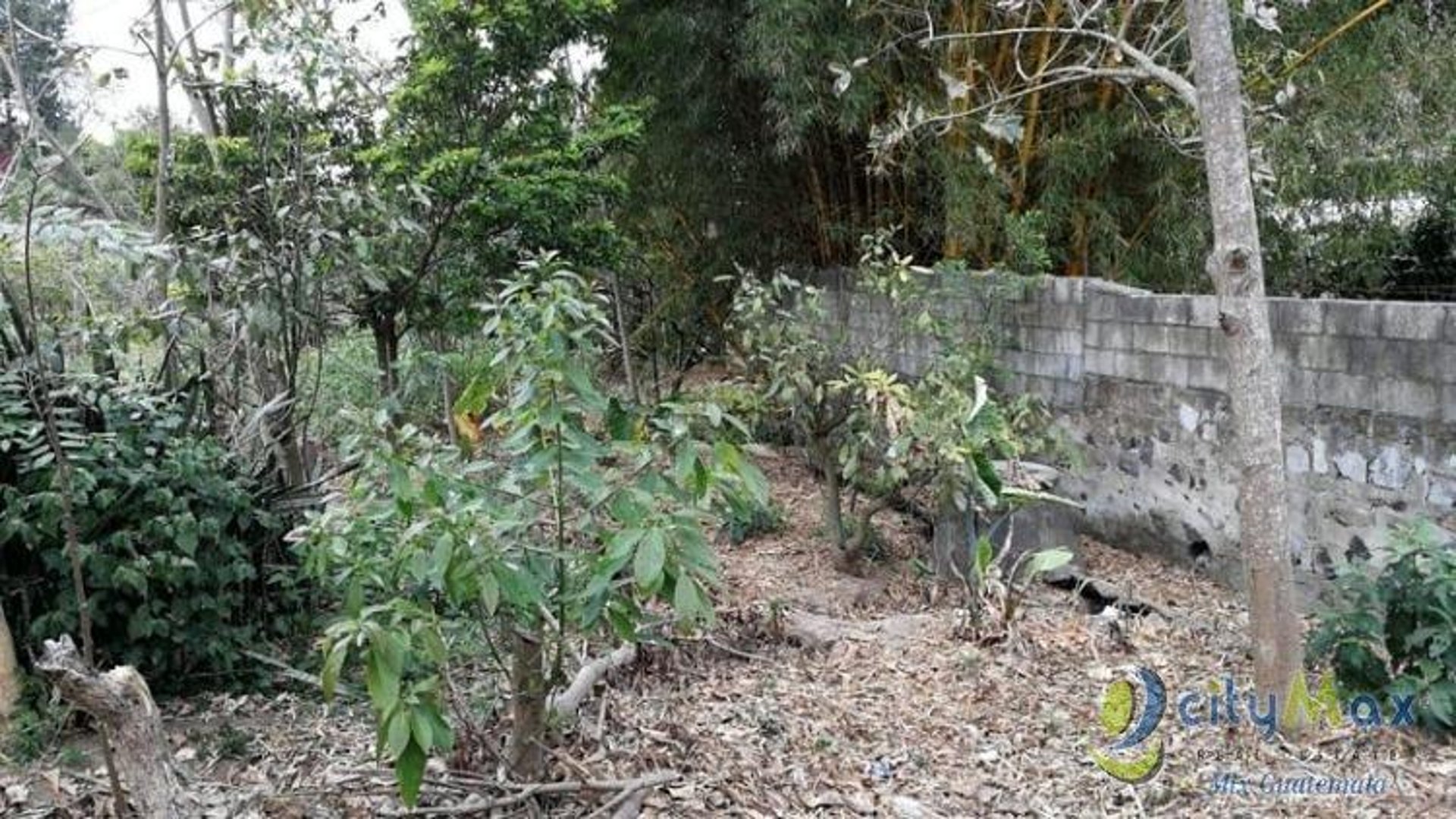 Casa en Venta Zona 18 Colonia Las Tapias - Miniatura 4