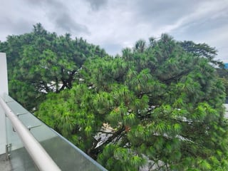 Apartamento en venta en la zona 14 la Villa - Image 9