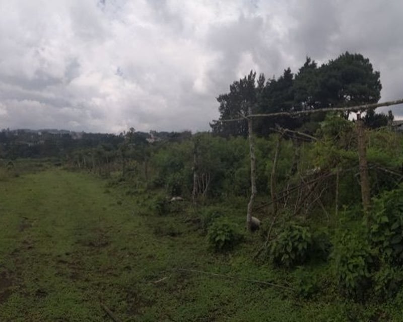 Terreno en Venta en Muxbal