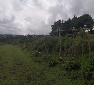 Terreno en Venta en Muxbal