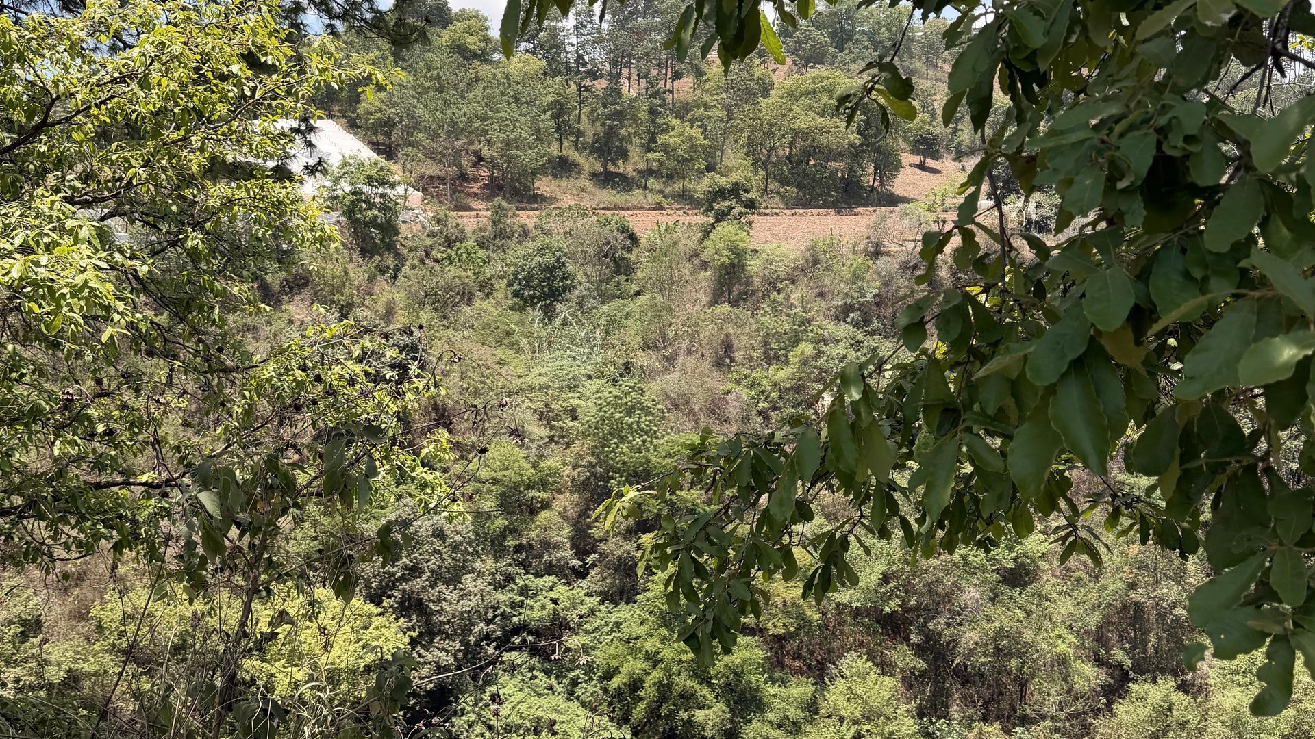 Terreno en Venta Sumpango, Sacatepéquez: 3.7 Hectáreas para su Proyecto - Miniatura 17