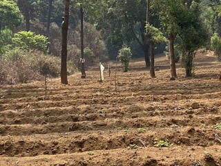Terreno en Venta en Santa Lucía Milpas Altas, Sacatepéquez - 5