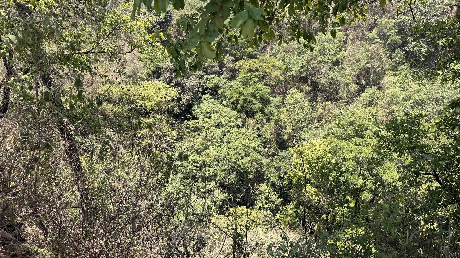 Terreno en Venta Sumpango, Sacatepéquez: 3.7 Hectáreas para su Proyecto - Miniatura 20