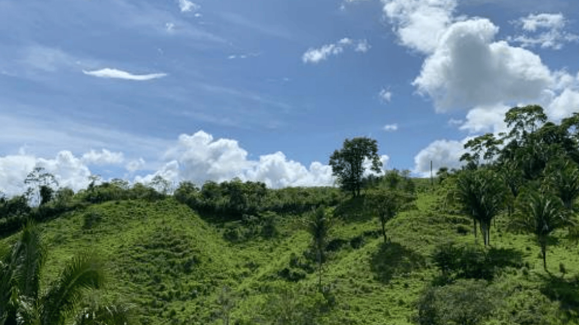 Finca en VENTA en  Municipio Nuevo Chahal, Alta Verapaz - Miniatura 14