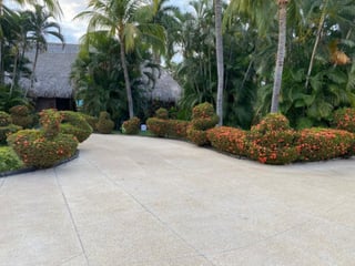 Terreno en Venta 13 x 35 metros, Lagunas de Monterrico - Image 7