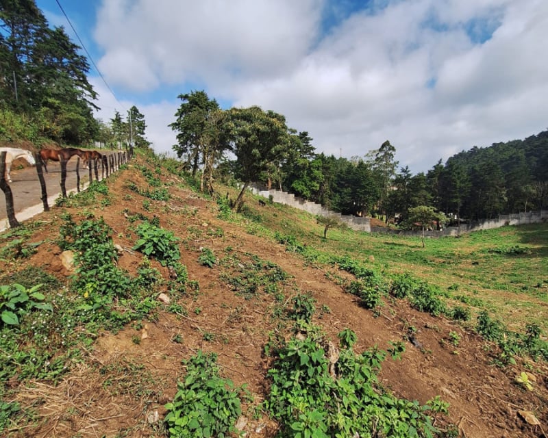 Terreno comercial en alquiler en Santa Catarina Pinula