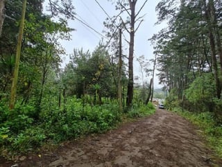 Terreno en Venta Colonia El Paraíso Sacatepéquez - 5