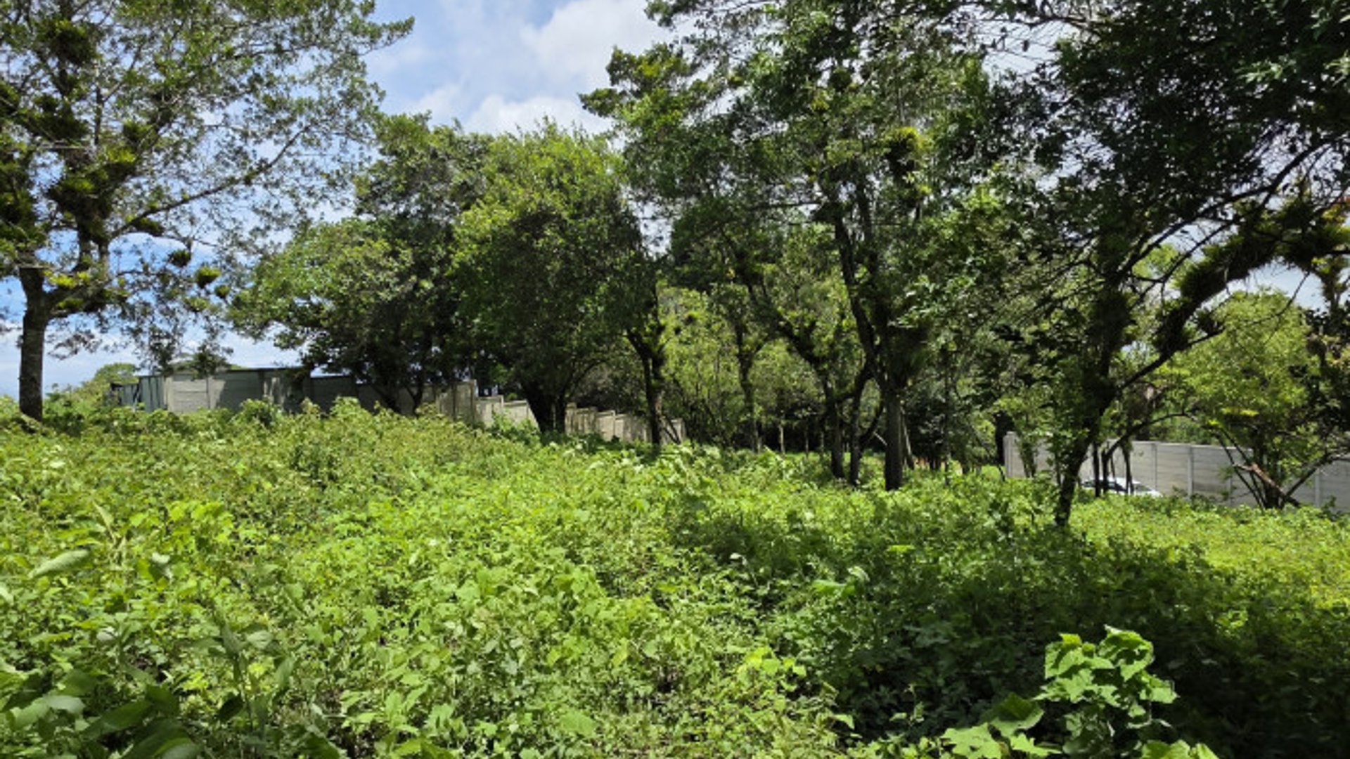 Terreno Venta Altos San Vicente Sta. Catarina Pinula - Miniatura 7