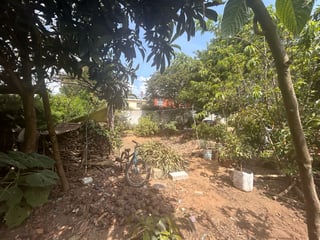 Venta de terreno rustico en San Lucas - 4