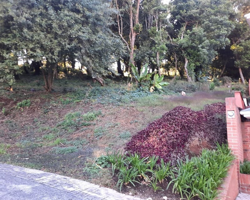 TERRENO GRANDE EN VENTA EN CONDOMINIO COLINAS DE CASTEL‼️