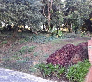TERRENO GRANDE EN VENTA EN CONDOMINIO COLINAS DE CASTEL‼️