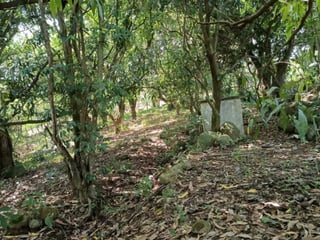 VENTA DE TERRENO EN KM 73, CARRETERA A TAXISCO - 4