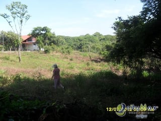 terreno en Playa Bajamar, Costa Rica. Citymax Antigua - 2