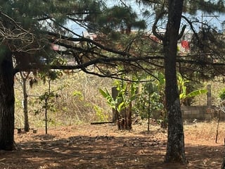 Terreno en venta – Km 10.5 Carretera al Atlántico - 4
