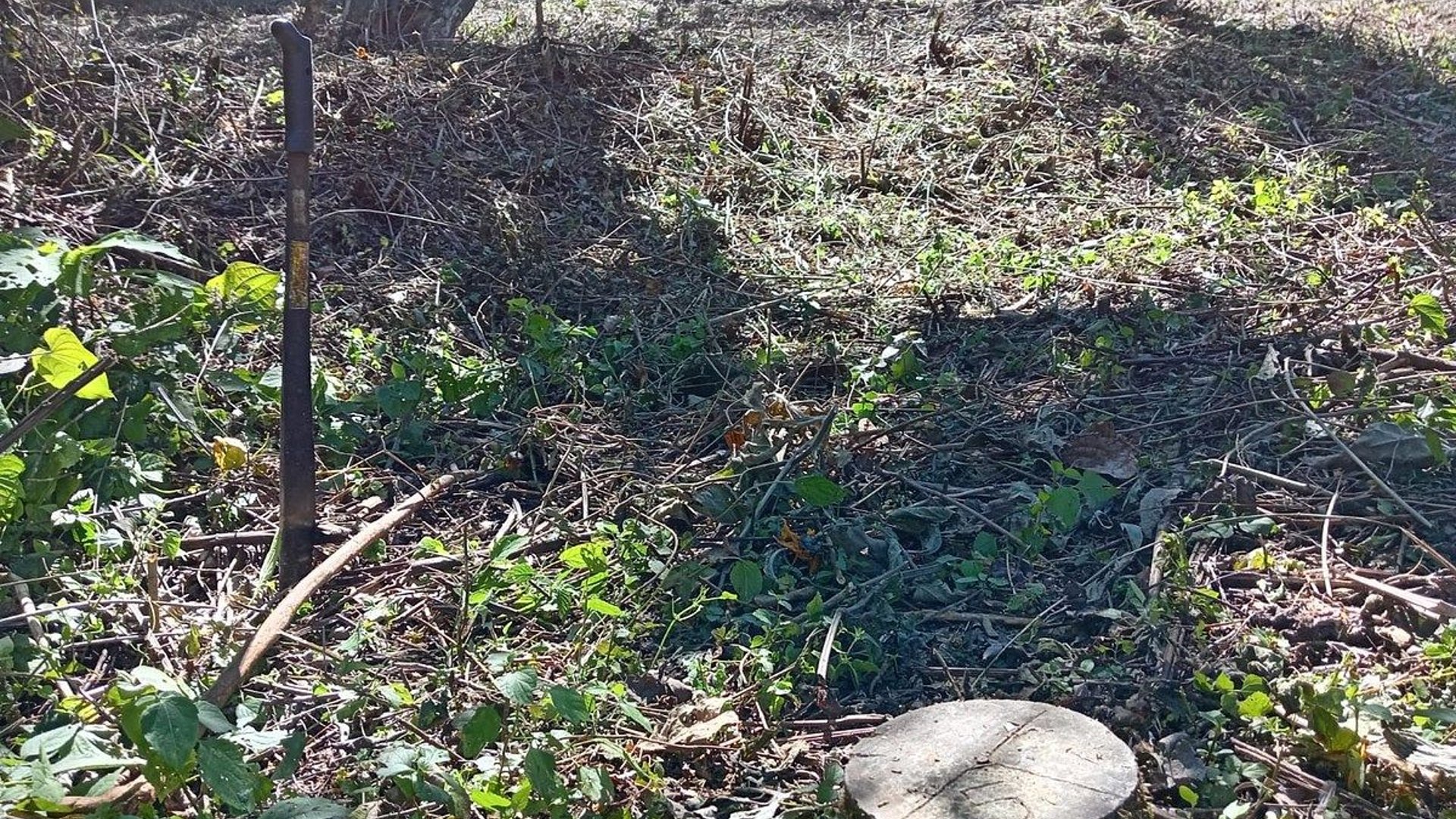 Terreno en VENTA en San Vicente - Miniatura 3