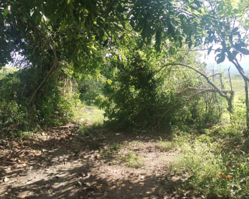 Terreno en Venta para Lotificacion San Pedro Pinula, Ja