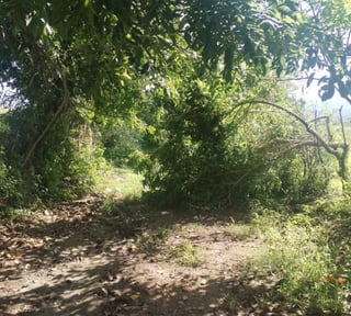 Terreno en Venta para Lotificacion San Pedro Pinula, Ja