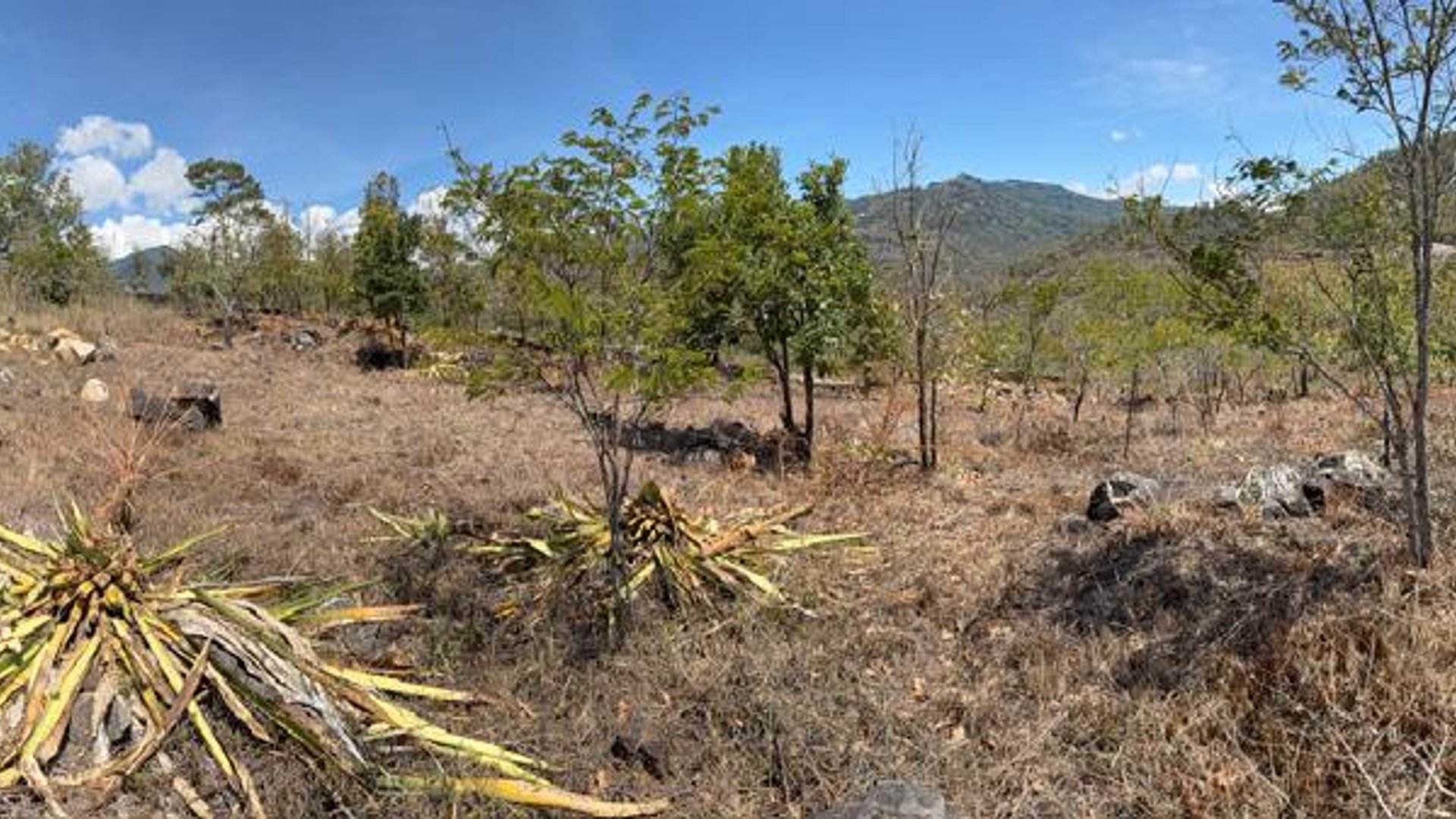 Bello Terreno En Venta En Ciudad Palmeras, Jalapa - Miniatura 4