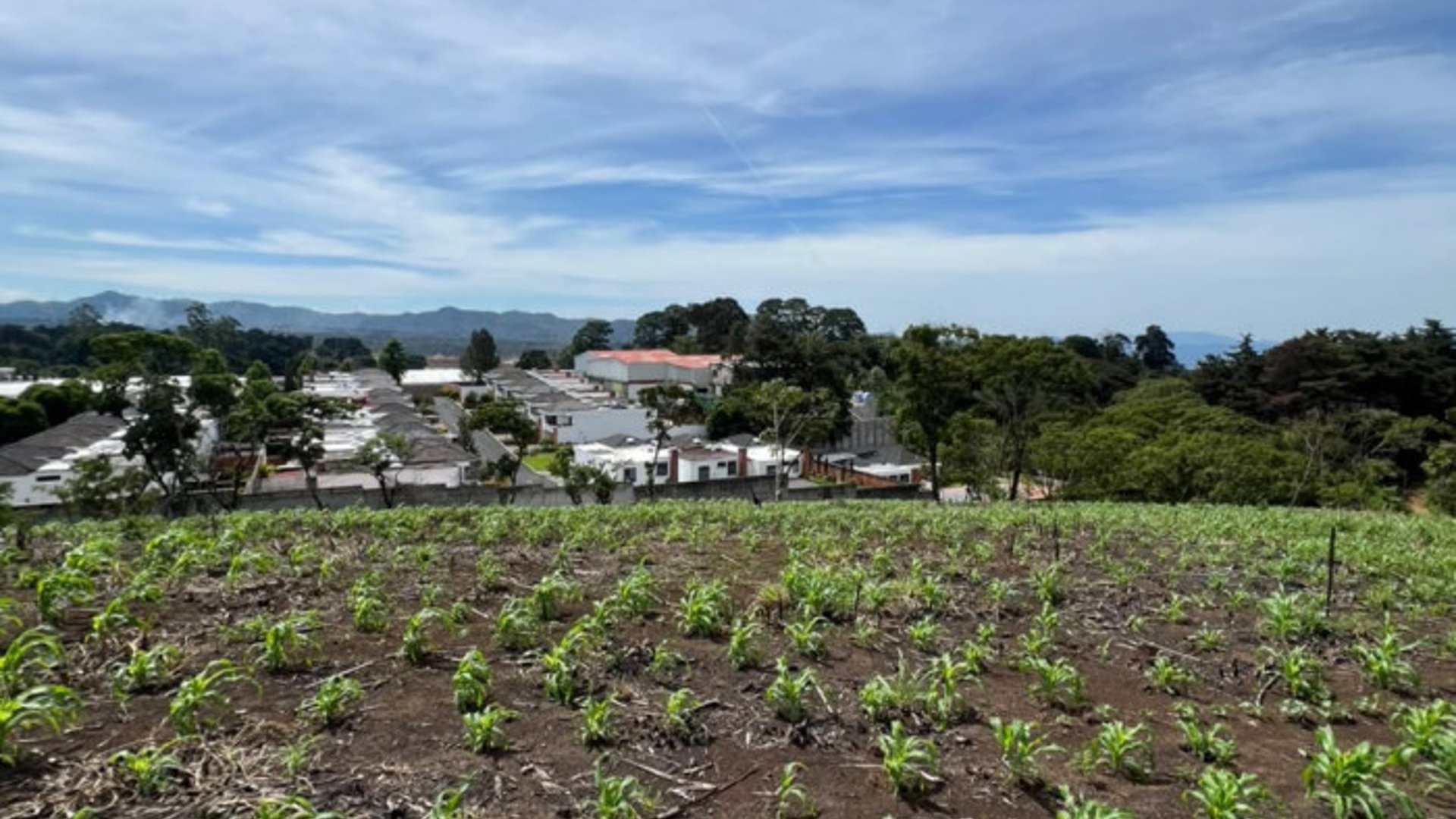 Terreno 12 Manzanas en Venta Carretera a El Salvador - Miniatura 9