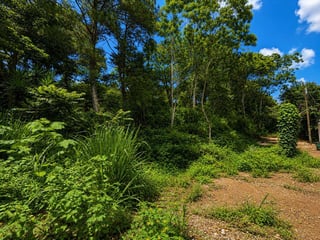 VENTA DE AMPLIO TERRENO - LAGUNA DEL PINO, BARBERENA - 5