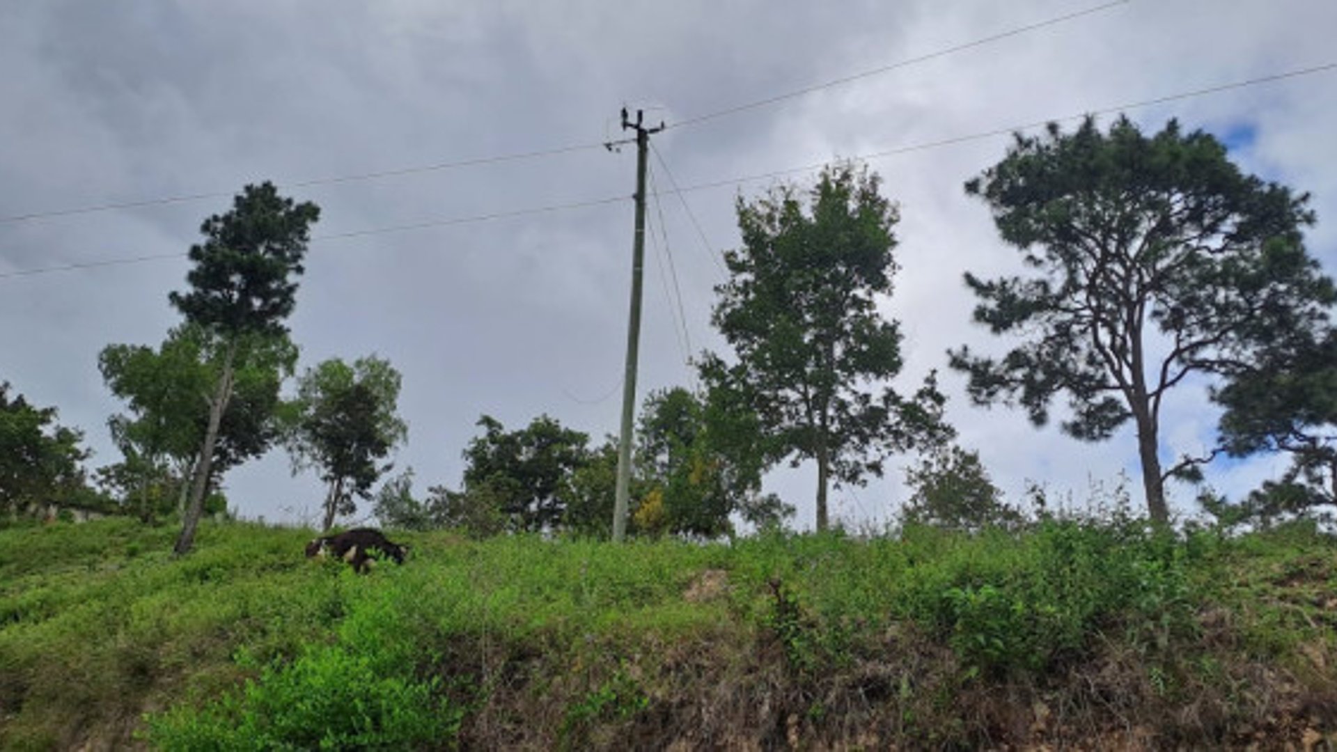 Terreno en venta en San Antonio la Paz el Progreso