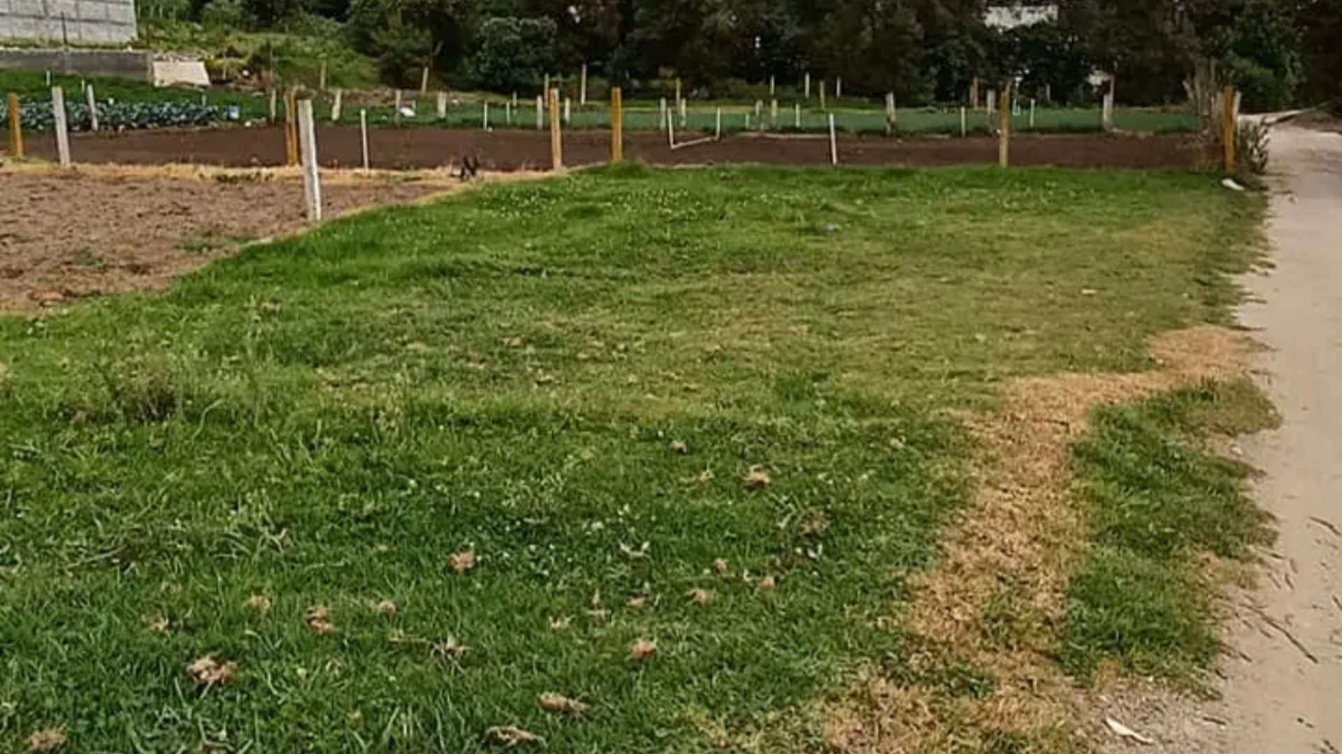 Terreno en Venta en Salcajá, Quetzaltenango | Oportunidad Única - Miniatura 2