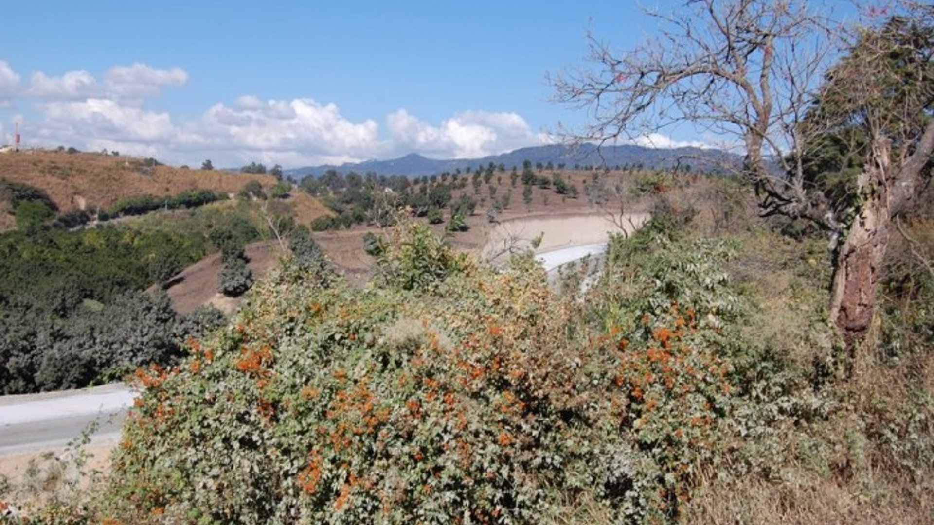 EXCELENTE FINCA EN VENTA SAN MIGUEL PETAPA SUR