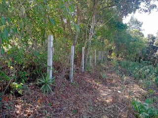 Vendo Terreno ruta a Santiago Sact.  Finca Chiximoy - 2