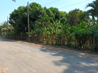 Granja en renta en Km. 102 Puerto de San José - Image 9