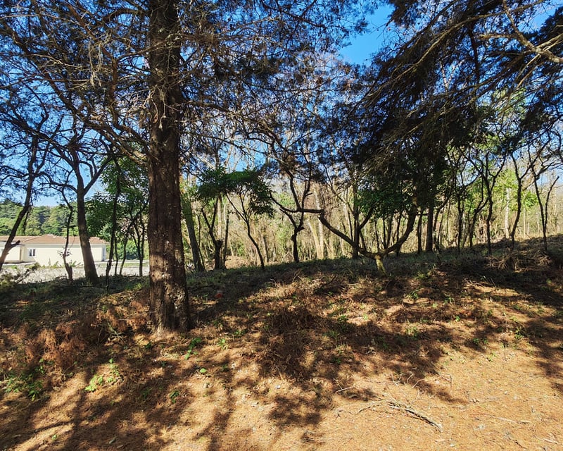 Casa   Campo Terreno en Carretera El Salvador en Venta