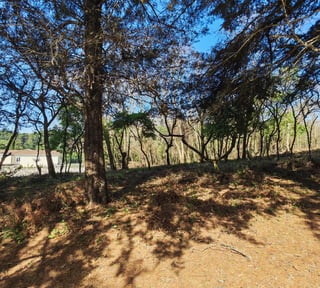 Casa   Campo Terreno en Carretera El Salvador en Venta