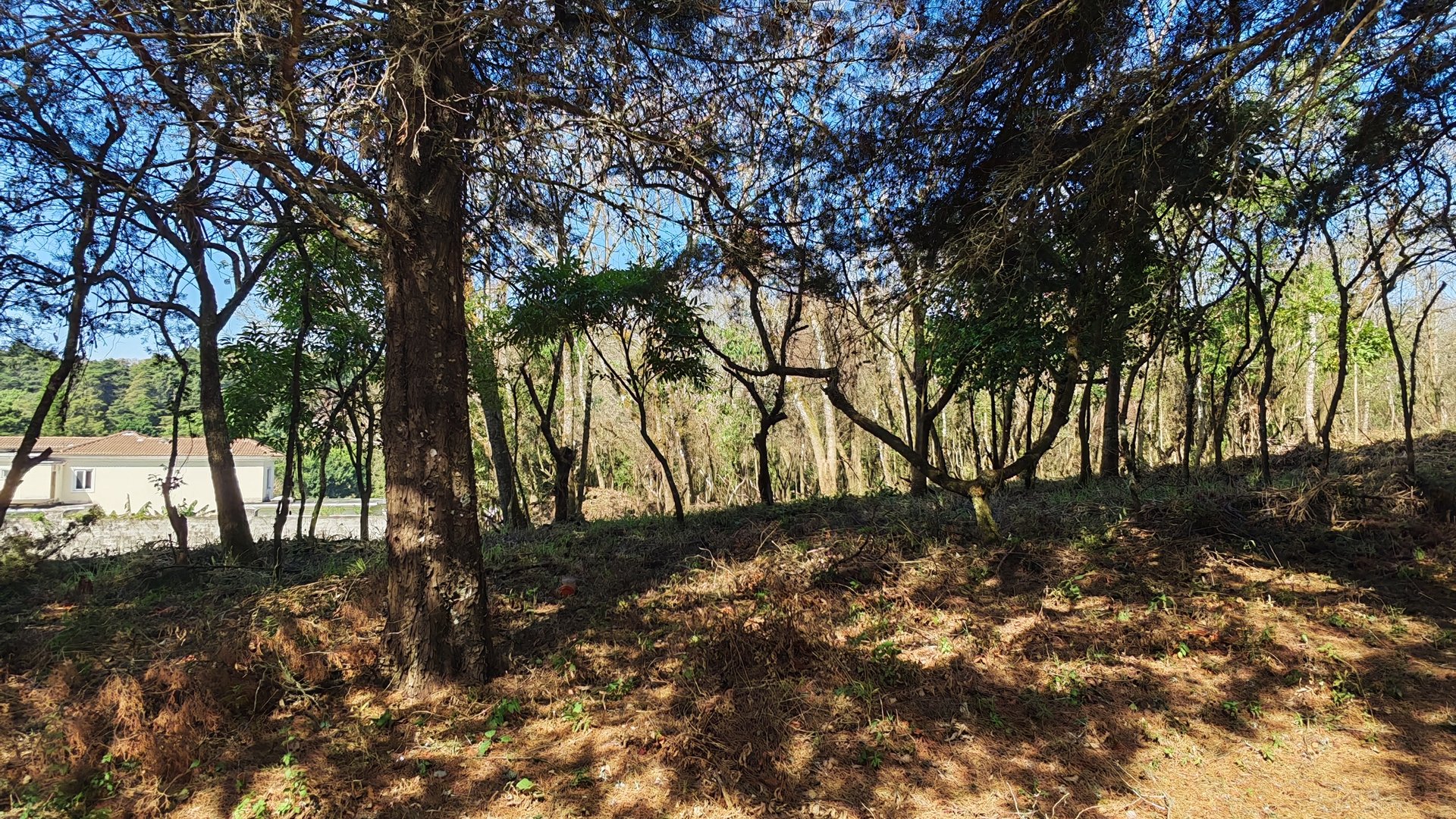 Casa   Campo Terreno en Carretera El Salvador en Venta