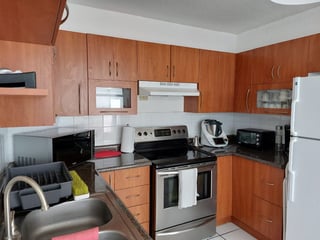 Proyecto familiar de 3 Casas en VENTA  en Carretera a El Salvador - 5