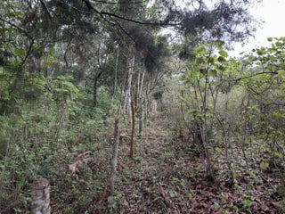 Terreno en venta, en Carretera al salvador - 5